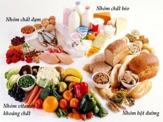 Bữa ăn hợp lý đủ dinh dưỡng tại gia đình